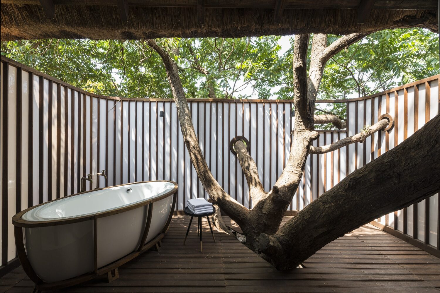 Architecture Brio – Tala Treehouse Villa_Photographix